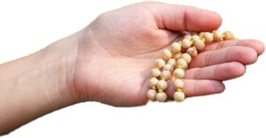 Natural Tulsi Holy Basil Mala Necklace